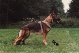 Oda vom Altbacher Wald